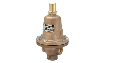 Cash Valve Series FR, Back Pressure Valves | Cash Valve US